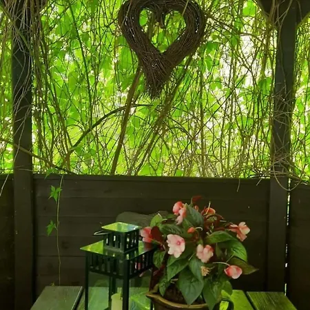 17 - Dom W Sercu Kaszubskiej Wsi Casa vacanze *