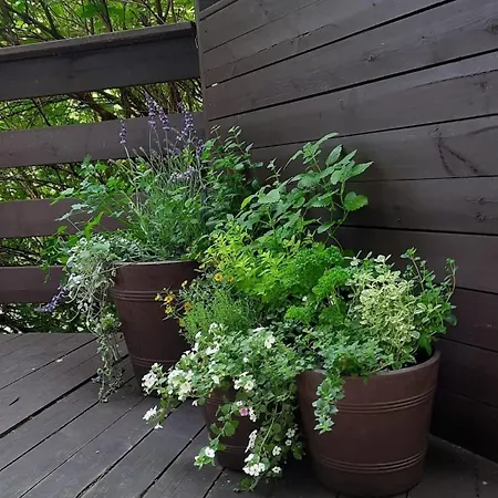 17 - Dom W Sercu Kaszubskiej Wsi Sominy