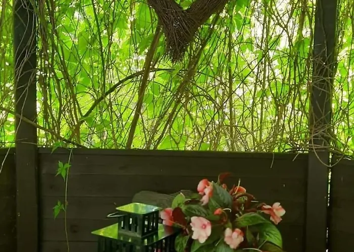 17 - Dom W Sercu Kaszubskiej Wsi Holiday home *