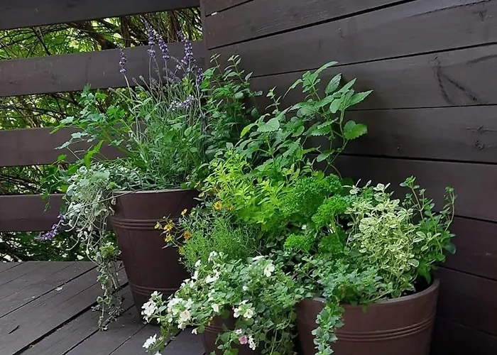 17 - Dom W Sercu Kaszubskiej Wsi Sominy