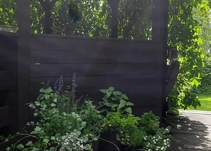 17 - Dom W Sercu Kaszubskiej Wsi *